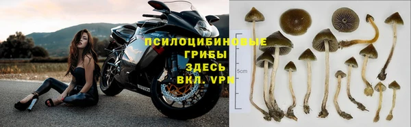 COCAINE Белокуриха