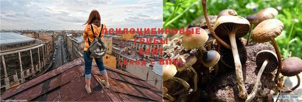 дистиллят марихуана Беломорск