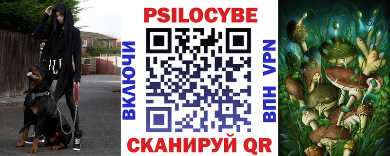 ОМГ ОМГ ссылки  Курганинск  Галлюциногенные грибы Psilocybe 